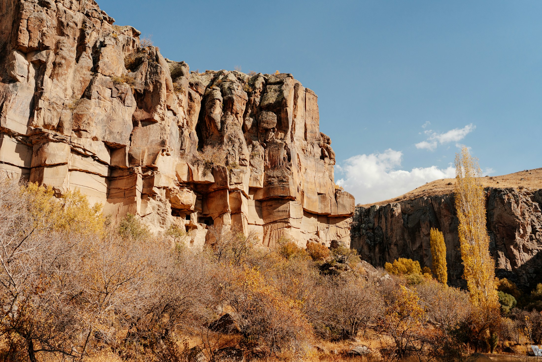 Rock-cut cliffs and autumn trees in Ihlara Valley, southern Cappadocia