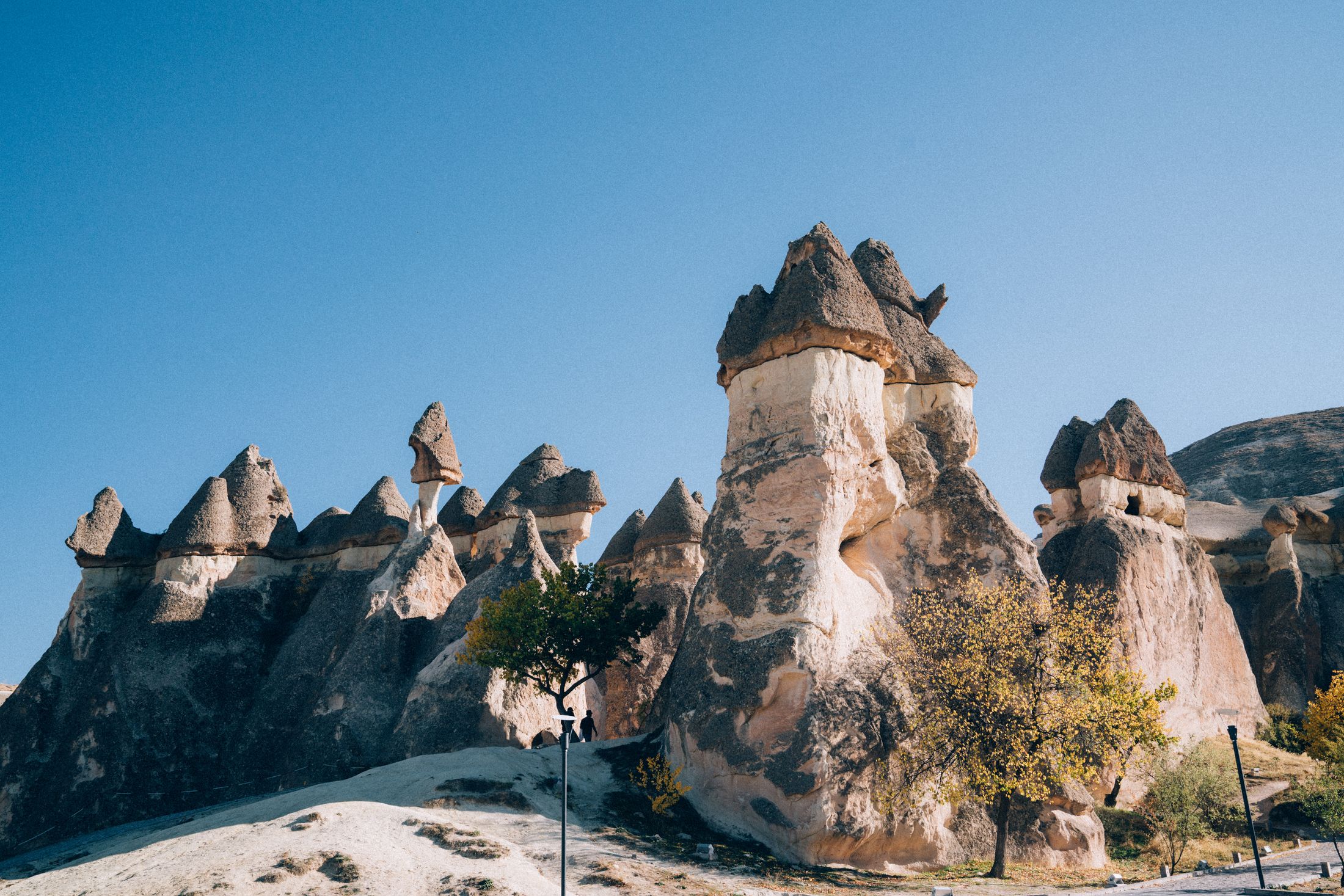 Fairy chimneys in Paşabağ, a common northern Cappadocia tour stop